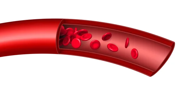 Ilustração vetorial criativa do fluxo de fluxo de hemácias arteriais, vaso eritrocitário médico microbiológico isolado em segundo plano. Medicina de design de arte. Concepção abstrata elemento científico gráfico —  Vetores de Stock