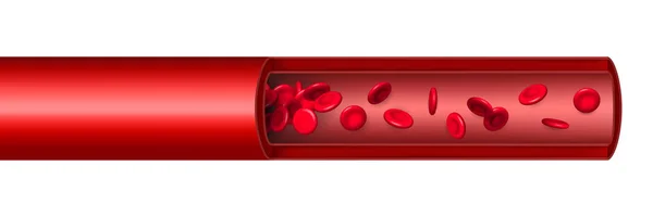 Творческая векторная иллюстрация потока красных кровяных телец артерии, выделенных на заднем плане микробиологических медицинских сосудов эритроцитов. Медицина арт-дизайна. Абстрактный элемент графической науки — стоковый вектор