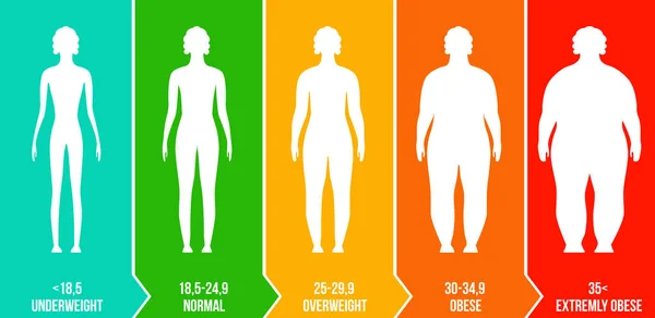 BMI, vücut kitle indeksi Infographic grafik siluetleri ve şeffaf arka plan üzerinde izole ölçeği ile yaratıcı vektör Illustration. Sanat tasarım sağlık yaşam şablonu. Soyut kavram grafik öğesi — Stok Vektör