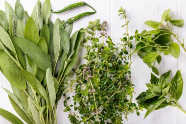 Aromatik bitki ve baharat beyaz bahçesinden. Taze adaçayı, kekik, nane, fesleğen yaprakları ve yeşil biber. Üstten görünüm, düz yatıyordu. 