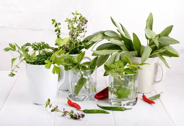 Aromatische Kruiden Specerijen Uit Tuin Wit Verse Salie Tijm Munt — Stockfoto