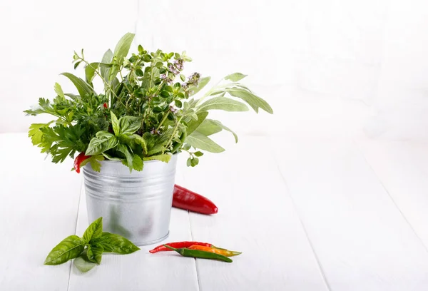 Αρωματικά Φυτά Και Βότανα Από Τον Κήπο Στο Λευκό Φρέσκο — Φωτογραφία Αρχείου