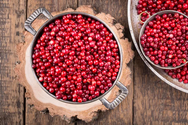 Wilde Preiselbeere Fuchsbeere Preiselbeere Ansicht Von Oben — Stockfoto