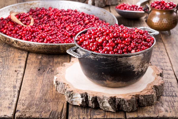 Dziki Borówkowo Foxberry Borówka — Zdjęcie stockowe