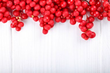 Schisandra chinensis veya beş-lezzet berry. Beyaz üzerine taze kırmızı olgun meyve. Gıda arka plan. 