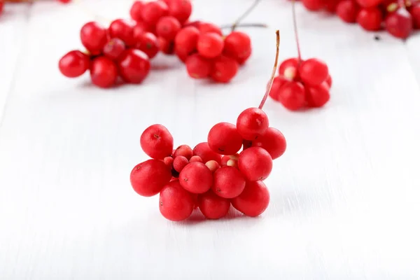 Schisandraceae Chinensis Vijf Smaak Berry Verse Rode Rijpe Bessen Wit — Stockfoto