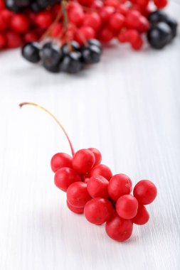 Schisandra chinensis or five-flavor berry. Fresh red ripe berry on white. clipart