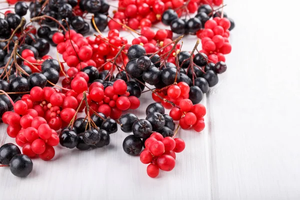Schisandraceae Chinensis Vijf Smaak Berry Aronia Chokeberry Verse Rode Zwarte — Stockfoto