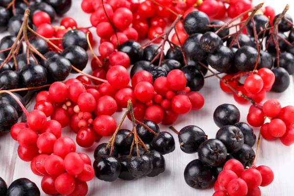 Schisandra Chinensis Lub Pięć Smak Jagód Aronia Lub Aronii Świeży — Zdjęcie stockowe