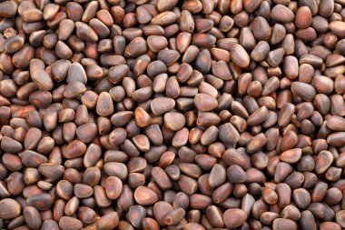 Çam fıstığı kabuklu gıda üstten görünüm arka plan