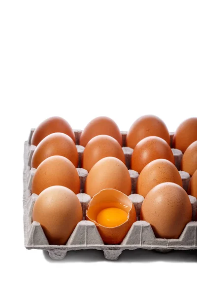 在白色的纸板容器中的一包棕色鸡蛋 一个鸡蛋坏了 — 图库照片