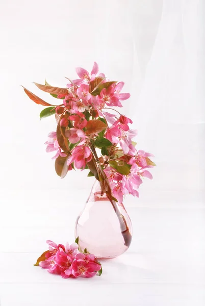 Ramo de árvore de maçã de flor em um vaso de vidro. Flores de maçãs rosa . — Fotografia de Stock