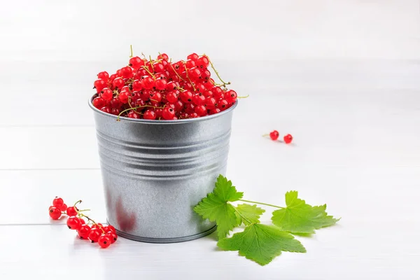 Friss piros ribizli bogyók fém vödör fehér asztal. — Stock Fotó