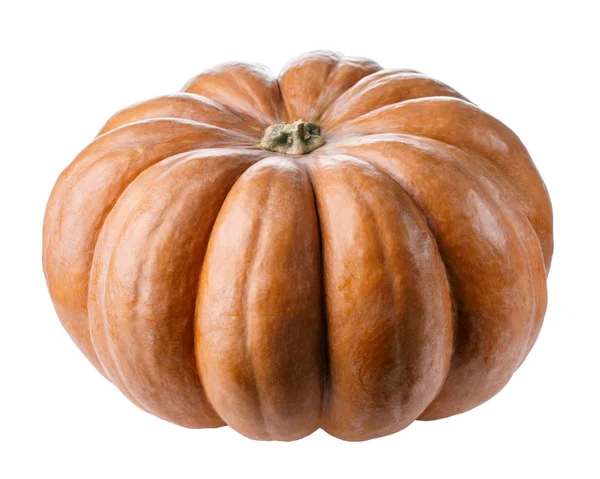 Fresco grande zucca arancione isolato su sfondo bianco — Foto Stock