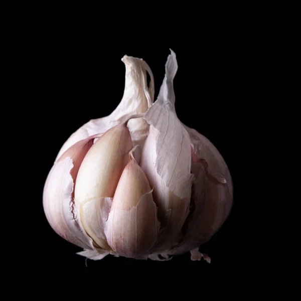 Whole garlic bulb isolated on black background. — Stock Photo, Image
