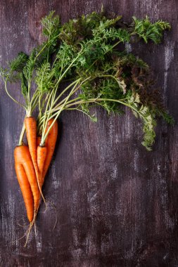 Koyu arka plan üzerinde yeşil yaprakları ile taze havuç demet.