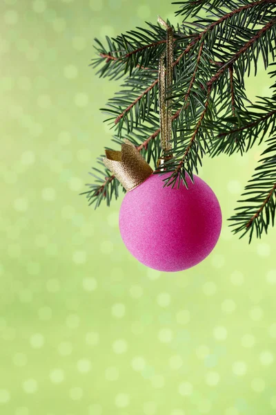 Pink Christmas Ball i kronan hänger på Gran gren på festlig Gree — Stockfoto