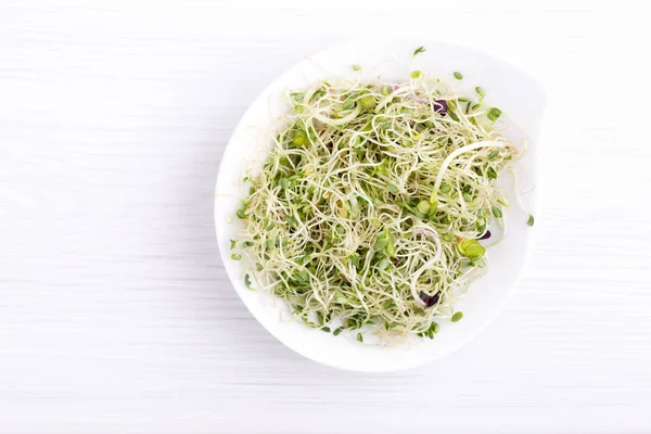 La mezcla de los germinados de la comida - la alfalfa, el rábano, el trébol en la escudilla. Micro g — Foto de Stock