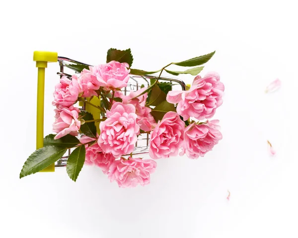 Beyaz Arka Planda Küçük Bir Alışveriş Arabasında Pembe Gül Çiçekleri — Stok fotoğraf