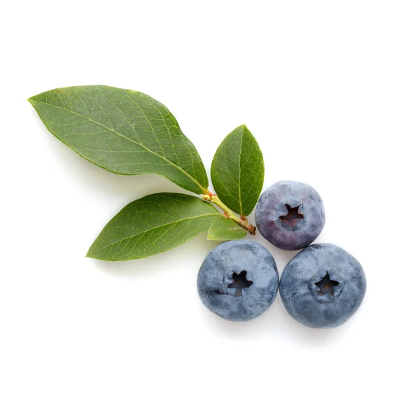 Fresh Ripe Blueberry Berries Leaves Isolated White Background Top View Royalty Free Stock Images