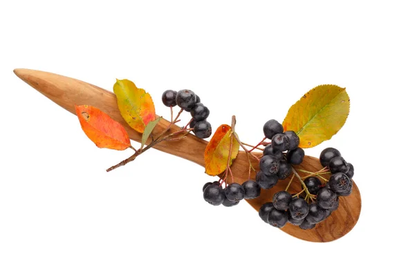 Aronia Melanocarpa Aronia Melanocarpa Beyaz Kaşık Üzerinde Bir Demet Siyah — Stok fotoğraf