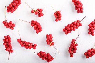 Schisandra chinensis or five-flavor berry. Fresh red ripe berries pattern on white background. Flat lay. Top view. Food background. clipart