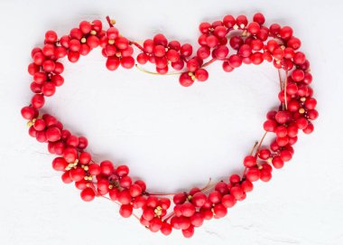 Schisandra chinensis veya beş aromalı böğürtlen. Beyaz arka planda taze kırmızı olgun böğürtlenler. Üst Manzara. Uzayı kopyala Gıda arkaplanı.