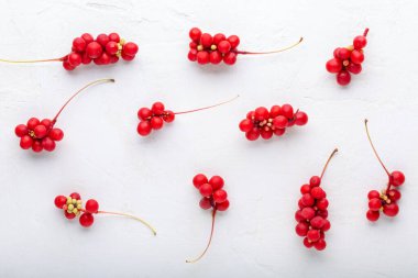 Schisandra chinensis veya beş aromalı böğürtlen. Beyaz arka planda taze kırmızı olgun böğürtlen deseni. Düz yatıyordu. Üst Manzara. Gıda arkaplanı.