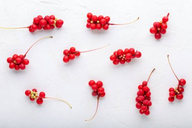 Schisandra chinensis or five-flavor berry. Fresh red ripe berries pattern on white background. Flat lay. Top view. Food background. clipart