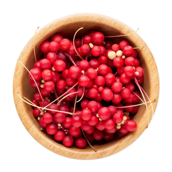 Schisandra Chinensis Veya Beş Aromalı Böğürtlen Beyaz Arka Planda Izole — Stok fotoğraf