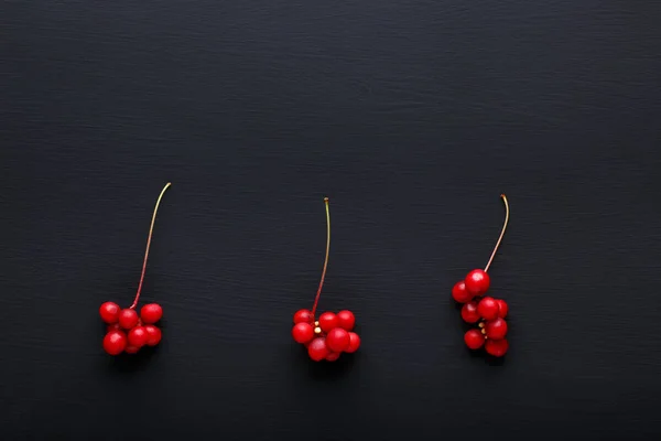 Schisandra Chinensis Nebo Bobule Pěti Příchutěmi Čerstvé Červené Zralé Bobule — Stock fotografie