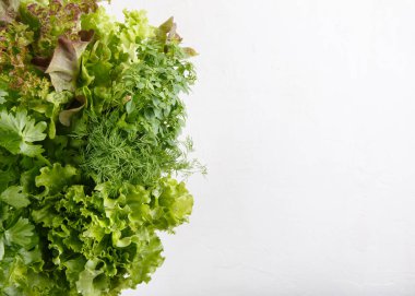 Beyaz arka planda tencerede taze aromatik aşçılık otları. Marul, dereotu, yaprak kereviz ve küçük yapraklı fesleğen. Bitkilerden oluşan mutfak bahçesi. Üst Manzara. Uzayı kopyala Gıda arkaplanı.