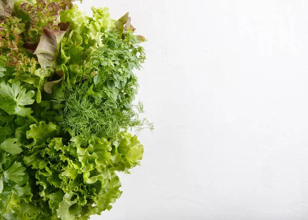 Frische Aromatische Küchenkräuter Topf Auf Weißem Hintergrund Salat Dill Sellerie — Stockfoto