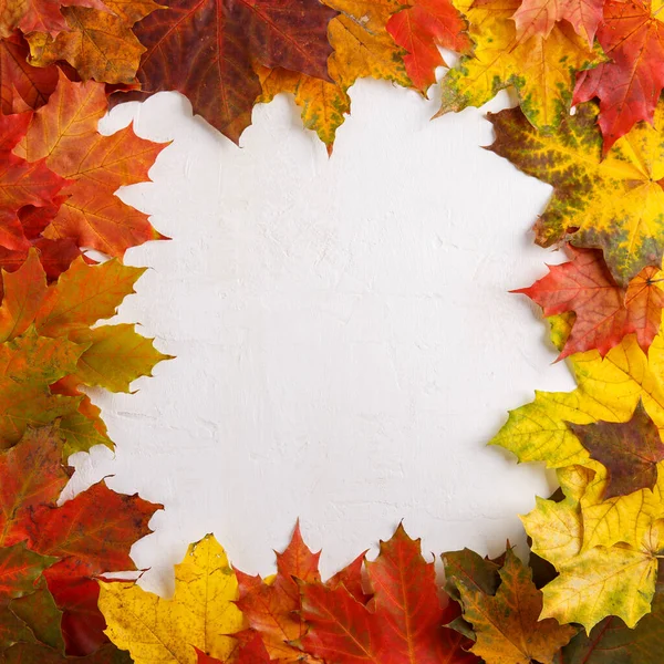 Colorful fall leaves on white background. Autumn frame. Flat lay, top view, copy space.