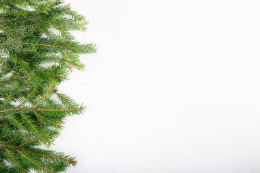 Beyaz arka planda ladin dalları. Noel köknar ağacı. Üst Manzara. Uzayı kopyala Noel çerçevesi, Yeni Yıl geçmişi.