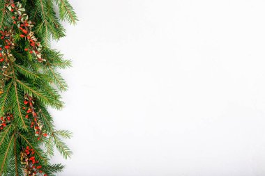 Beyaz arka planda kırmızı böğürtlenli ladin dalları. Noel köknar ağacı. Üst Manzara. Uzayı kopyala Noel veya Yeni Yıl arkaplanı.