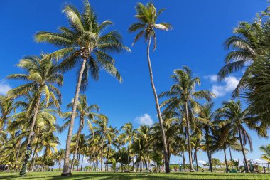 Miami, Güney Sahili, Lummus Parkı