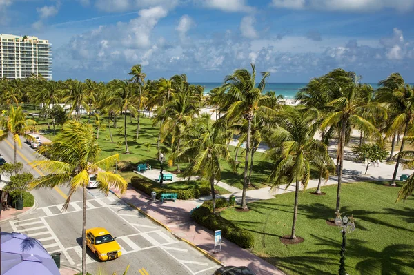 Miami, South Beach, Park Lummus — Zdjęcie stockowe