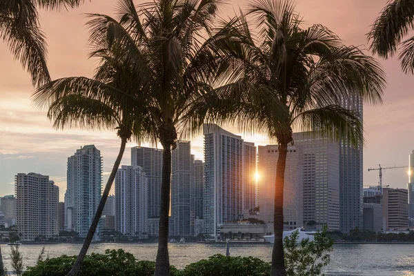 Miami Skyline al atardecer —  Fotos de Stock