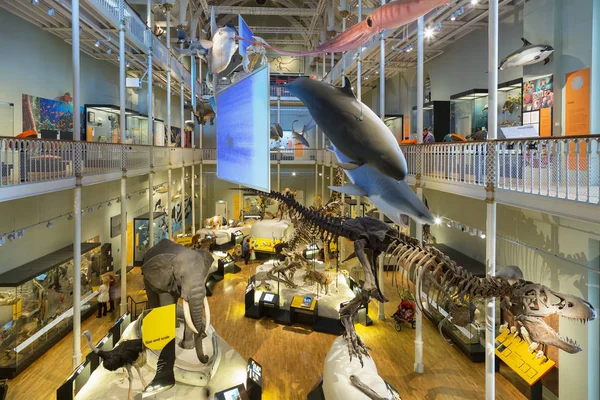 Museum of Scotland, Edinburgh, Edinburgh, Scotland. — Stockfoto