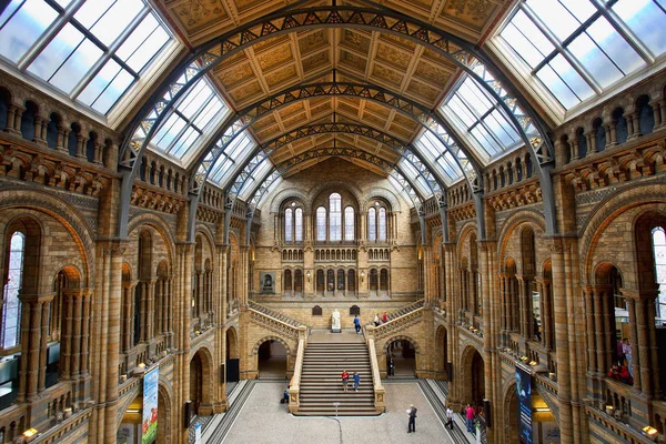 London, zentrale Halle des Naturkundemuseums — Stockfoto