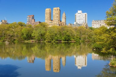 New York Şehri, Şehir manzarası