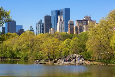 New York Şehri, Şehir manzarası