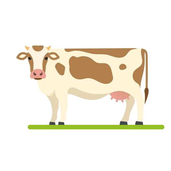 İnek vektör illüstrasyonu. Ilık süt ve çikolata renkleri, beyaz üzerine izole edilmiş..