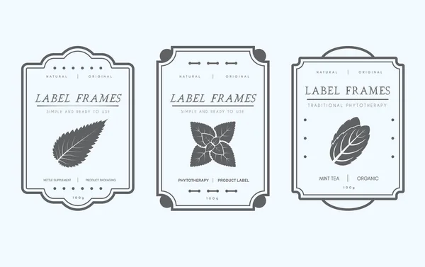 Özelleştirilebilir siyah beyaz kiler etiketi koleksiyonu. Bitkiler ve baharatlar, kurutulmuş meyve, sebze, fındık ve diğer organik ürünler için klasik paketleme şablonları.