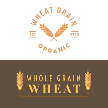 Mısır gevreği ve un, irmik, malt, bulgur grat gibi diğer ürünler için buğday etiketi. Ekmek, makarna ve fırın için organik gıda malzemeleri. Vektör illüstrasyonu.