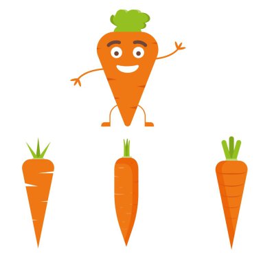 Vektör havuç çizimi. Sağlıklı yiyecekler, sebze malzemeleri..