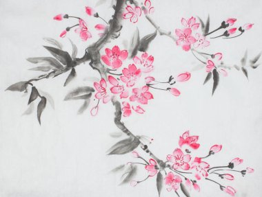 Japon tarzı boyalı kiraz çiçeği şube