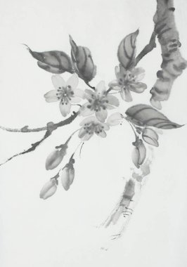 tek renkli bir tarzda tasvir çiçeklenme kiraz çiçeği Şubesi