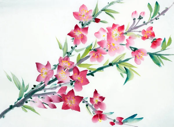 Blühender Pfirsichzweig Chinesischen Stil Bemalt — Stockfoto